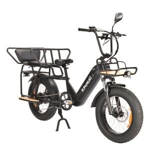 750W 1000W 48V 15ah City Commuter E Bike Adult 2 Seat Electric Bicycle 20 Inch Electric Bike