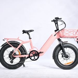 750W Hub Motor Fat Tire Folding E-Bike with Step-Through Frame