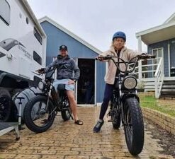 Adult Factory Wholesale Bicycle Electric for Adults with 500W Electric Bike Cheap Best Drive Electric Bike High Quality Electric Bike Motorbike Cargo Ebike