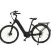 Adult Mountain off Road Lithium Battery Wholesale Price Removable Battery Customized Cargo Cheap High Motor Moped Bike