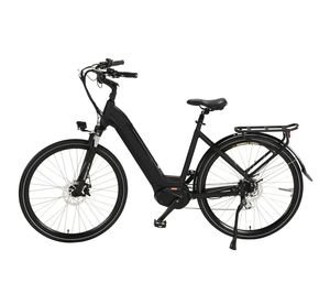 Adult Mountain off Road Lithium Battery Wholesale Price Removable Battery Customized Cargo Cheap High Motor Moped Bike
