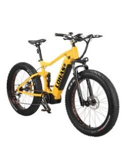 Bafang 1000W Full Suspension Fat Tire MID Drive Mountain MTB Electric Bike