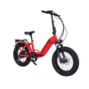 Chinese Supplier 500W Fast Foldable New Design Fat Tire off Road Electric Cargo Bike Tandem Bike