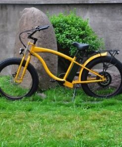 Classic Frame Fat Tire E Bike with Mechanical Disc Brake