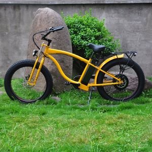 Classic Frame Fat Tire E Bike with Mechanical Disc Brake