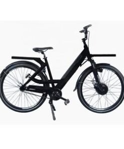 Delivery Cargo Food Pizza Delivery Cargo Long Range Electric Delivery Bike