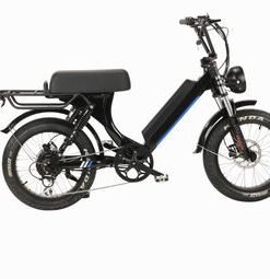 EU Warehouse Wholesale Green Folding Fat Tire Electric Bike 20 Inch 1000W Fat Bike