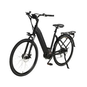 Eco-Friendly Electric Bike MID-Drive Motor 250W Long Range Electric Bike Compact Design Powerful Motor Electric Bicycle