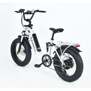 Electric Bicycle Mini Electric Bike with Pedal 20 Inch Tyre Big Fat Mini Motorcycles Ebike Electric Bike Max Loading 150kg E-Bike
