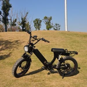Factory CE Approved 500W Fatbike Removable Battery Tyre Big Wheel Fat Bike E Bicycle