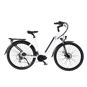 Factory Chinia Mountain MID Drive Big Motor Lithium Battery Fast Reliable Long Range Performance Waterproof Electric Fat Tire off-Road Bike