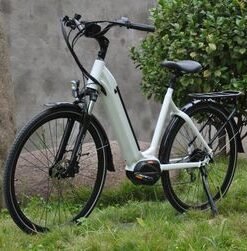 Factory Direct Sales 250W 350W MID Drive Motor City Electric Bicycle with LCD Display