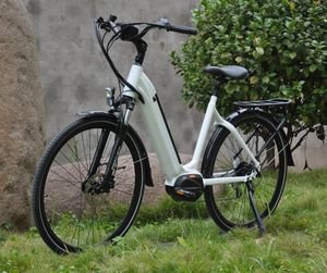 Factory Direct Sales 250W 350W MID Drive Motor City Electric Bicycle with LCD Display