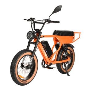 Factory Price 20 Inch 10000W/1200W Outdoor Removable Battery Mountain Electric Fat Bike