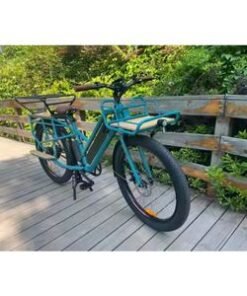 Family Electric Cargo Bike with Children Seat Big Wheel Fat Tyre Electric Bike