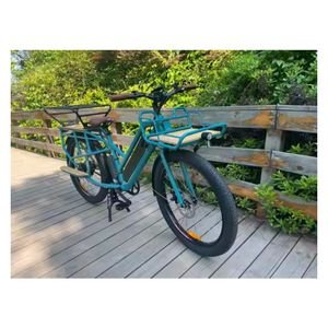 Family Electric Cargo Bike with Children Seat Big Wheel Fat Tyre Electric Bike