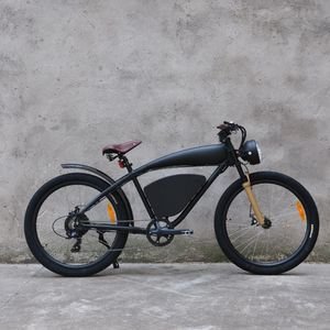 Fashion Brushless 500W Removable Battery Tyre Big Wheel Mountain E Electric Fat Bike