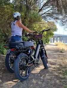 Fashion Lithium-Ion 500W High-Performance Motorcycle Electric Bicycle Mountain Fat Tyre Motor Bike