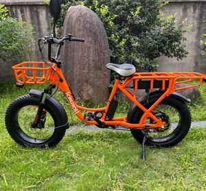 Fat Tire 1200W Electric Bike with Rear Rack