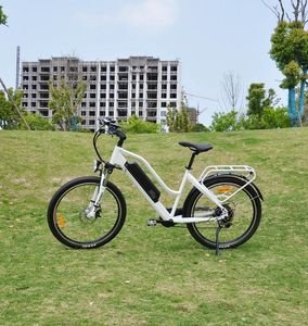 Fat Tire Removable 48V 10.4ah Lithium-Ion Battery 7 Speed Front Suspension Fork Urban Commuting Cycle Cargo Electric Bikes