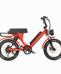 Fat Tire Vintage Electric Bike Beach Cruiser Leopard 48V 500W 750W 2020