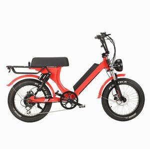 Fat Tire Vintage Electric Bike Beach Cruiser Leopard 48V 500W 750W 2020