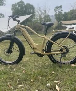 High-Performance Electric Bike with Electric Bicycle Scooter E Bike Hot Sale Electric Bike