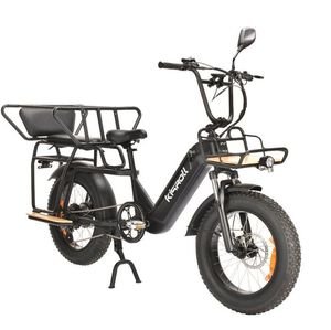 High Quality Foldable 20inch 750W Removable 48V 15ah off Road Aluminum Frame Electric Bike E Cargo Bike