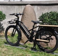 Hot Sale 26" Lohas Carton Package MID-Motor Cargo Ebike