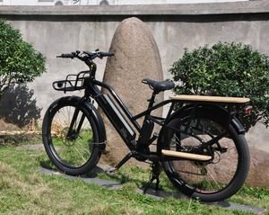 Hot Sale 26" Lohas Carton Package MID-Motor Cargo Ebike