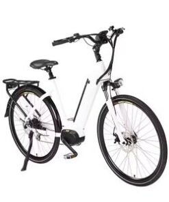 Hot Sale Fat Tire All Road Use Lithium Battery Urban Commuting Cycle Electric Cargo Bike Digital Smart E-Bike