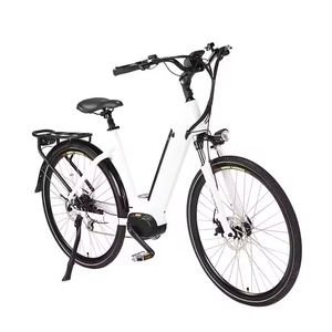 Hot Sale Fat Tire All Road Use Lithium Battery Urban Commuting Cycle Electric Cargo Bike Digital Smart E-Bike