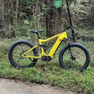 Hot Selling Mountain Kids Adults Outdoor Adult OEM/ODM Popular City Vehicle Adventure Powered Electric Bicycle