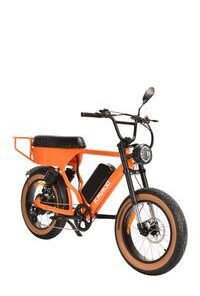 Hydraulic Brale Fat Wheel Electric Bicycle 1200W High Speed Electric Bicycle