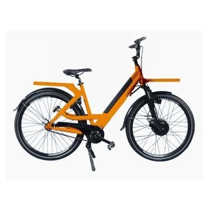 Lohas Hot Sale Pizza Cargo Ebike 36V 17.5ah Removable Battery Ebike