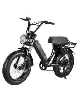 Lohas Long Saddle Electric Bike 48V/10ah Battery Rear Suspension Fork Ebike Full Suspension Mountain E Bike