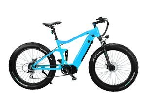 Lohas Mountain Electric Bike 750W 1000W Bafang Motor MID Drive E Bike