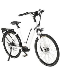 Long Range Good Quality City Commuter Wholesale Top Quality MID Drive Motor 250W Two Wheel Fat Tire 20inch Electric Bike