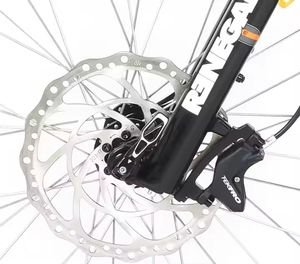 MTB 1000W MID Drive Motor Fat Tire Electric Bicycle Adult Electric Mountain Bike