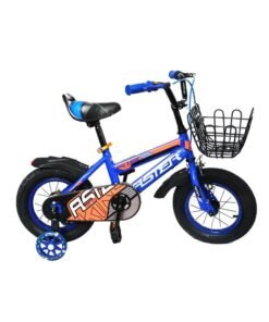 Aster Training Bike 12inch