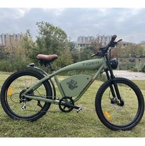 New Ebike Fashion Model Electric Bicycles High Motor Bicycle with Removable Battery E-Bike City Bicycle Dirt Bike for Adult Mountain Ebicycle Factory Bike