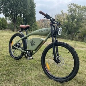 New Model Ebike Adult Electric Bicycles China Factory Electric City Bike Popular E Bike OEM ODM Factory Electric Bicycle with Fat Tire E Bicycle