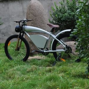OEM 12ah 500W Outdoor Beach Field Tour Rental off Road Electric Bike