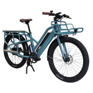 OEM Vintage Electric Bike Velo Electrique Unisex Ebike Bicycle Elektro Fahrrad 36/48V
