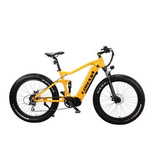 Professional off-Road Fat Tire E-Bike with Bafang MID Drive System