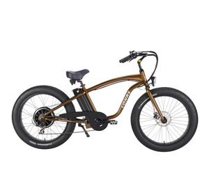 Retro Style Step Over Electric Bike 500W for Men
