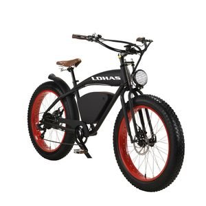 Stylish Retro 500W E Bike with Hydraulic Disc Brake System