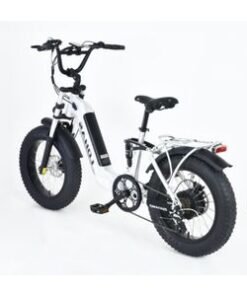 Vintage 48V 500 Watt 20 Inch Fat Tire Electric Bike E Bicycle Ebike Long Range Mountain E-Bike