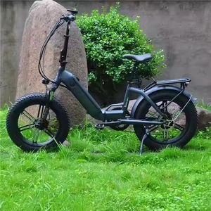 Wholesale Top Selling Aluminum Alloy 7 Speed Full Suspension Fast 500W off Road Electric Bike Electric Cargo Bike