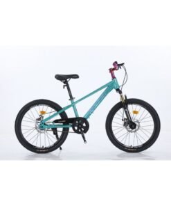 Raleigh EVA-22 inch High-Carbon Steel Frame with Single Speed